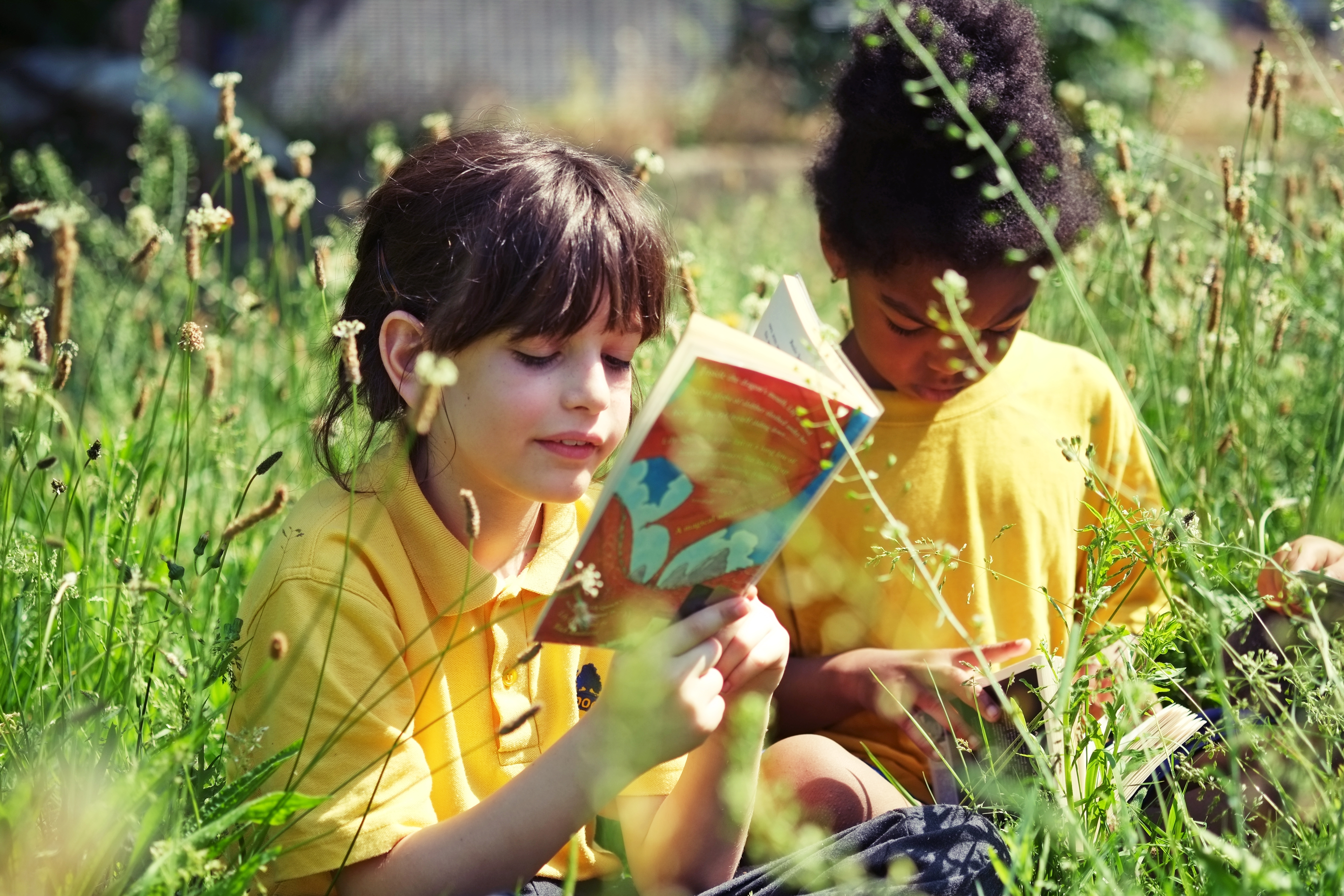 Pupils reading in the school meadow