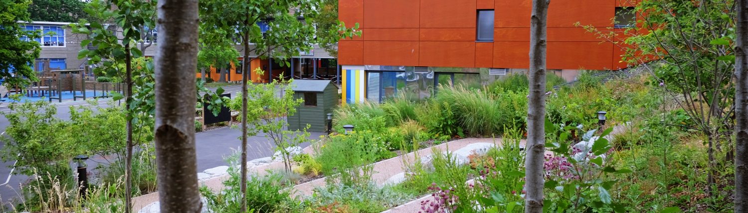 Dulwich Wood Primary School