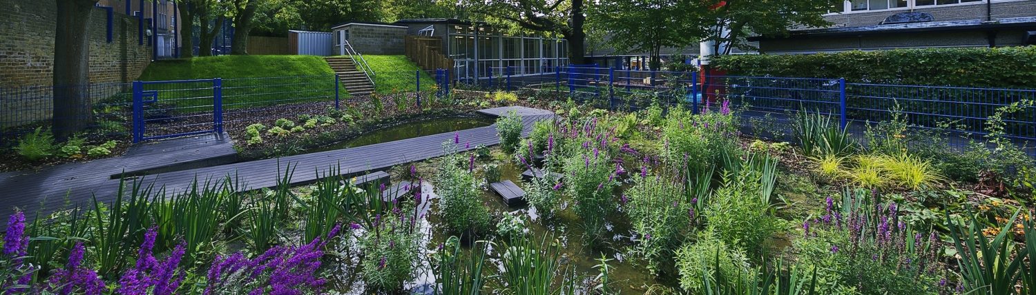 Dulwich Wood Primary School