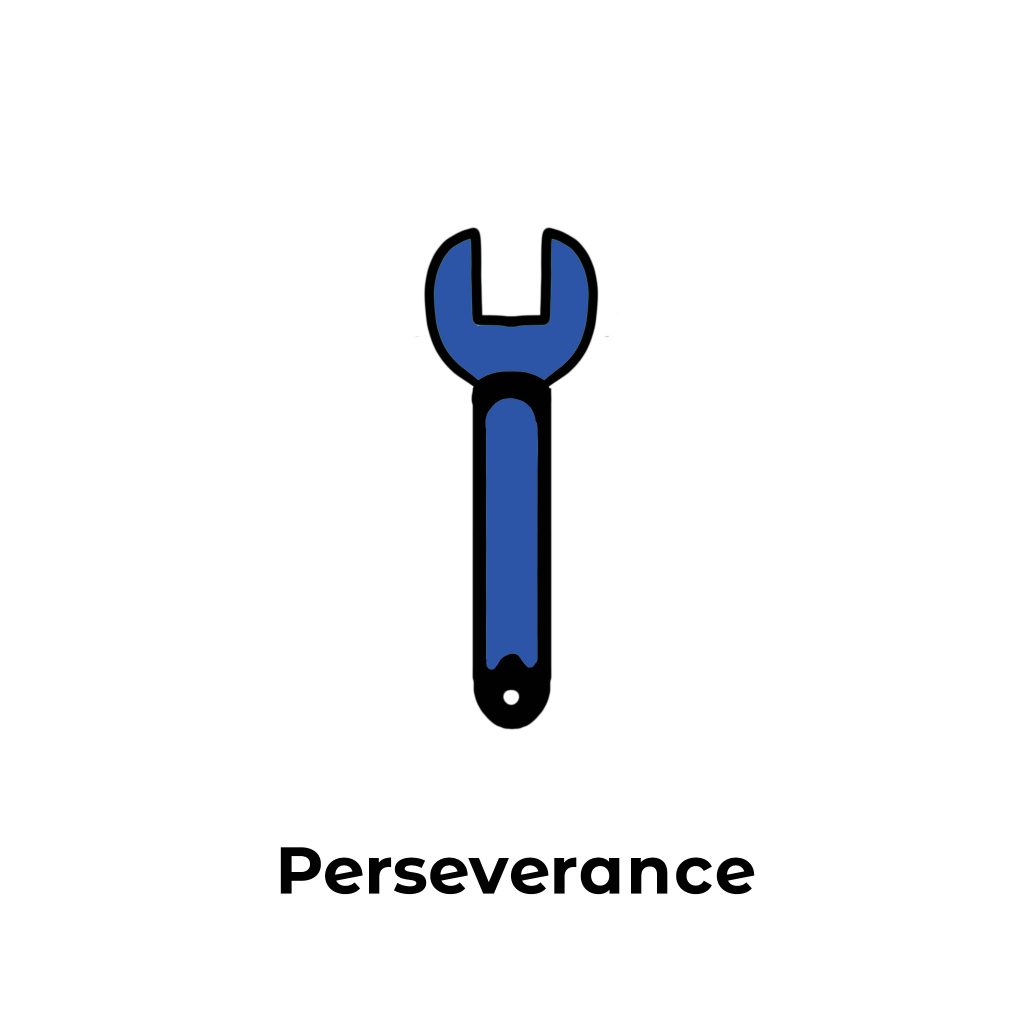 Perseverance